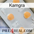 Kamgra 24